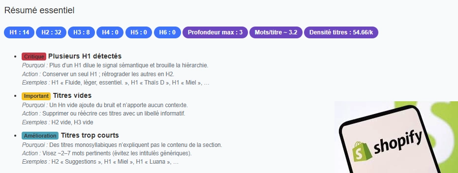 Exemple de logo encadré dans une balise H1 sur Shopify